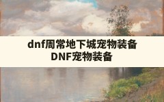 dnf周常地下城宠物装备(DNF宠物装备)