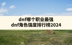 dnf哪个职业最强(dnf角色强度排行榜2024)