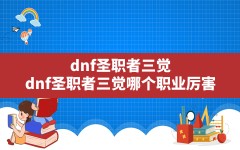 dnf圣职者三觉,dnf圣职者三觉哪个职业厉害