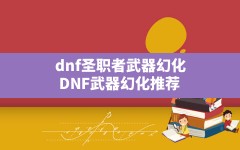 dnf圣职者武器幻化(DNF武器幻化推荐)