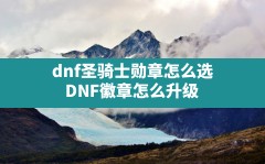 dnf圣骑士勋章怎么选,DNF徽章怎么升级