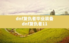 dnf复仇者毕业装备,dnf复仇者110级装备选择攻略