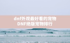 dnf外观最好看的宠物,DNF绝版宠物排行