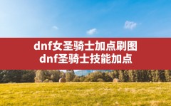 dnf女圣骑士加点刷图(dnf圣骑士技能加点)