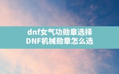 dnf女气功勋章选择(DNF机械勋章怎么选)