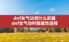 dnf女气功用什么武器,dnf女气功时装属性选择