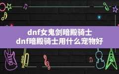 dnf女鬼剑暗殿骑士(dnf暗殿骑士用什么宠物好)