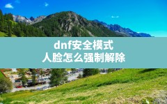 dnf安全模式人脸怎么强制解除,人脸安全模式dnf囤货吧