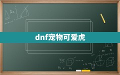 dnf宠物可爱虎