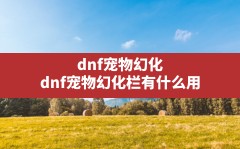 dnf宠物幻化,dnf宠物幻化栏有什么用