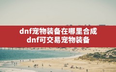 dnf宠物装备在哪里合成,dnf可交易宠物装备