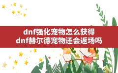 dnf强化宠物怎么获得(dnf赫尔德宠物还会返场吗)