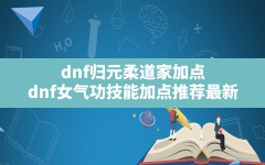 dnf归元柔道家加点,dnf女气功技能加点推荐最新