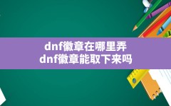 dnf徽章在哪里弄,dnf徽章能取下来吗