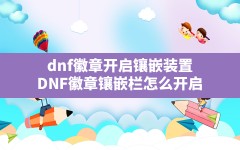 dnf徽章开启镶嵌装置,DNF徽章镶嵌栏怎么开启