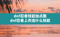 dnf忍者技能加点图(dnf忍者上衣选什么技能)