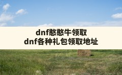 dnf憨憨牛领取(dnf各种礼包领取地址)