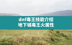 dnf毒王技能介绍(地下城毒王火属性)