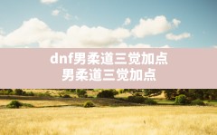 dnf男柔道三觉加点(男柔道三觉加点)