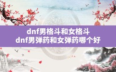 dnf男格斗和女格斗(dnf男弹药和女弹药哪个好)