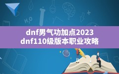 dnf男气功加点2023,dnf110级版本职业攻略