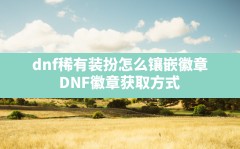 dnf稀有装扮怎么镶嵌徽章,DNF徽章获取方式