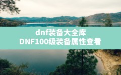 dnf装备大全库(DNF100级装备属性查看)