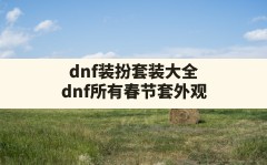 dnf装扮套装大全,dnf所有春节套外观