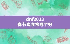 dnf2013春节套宠物哪个好,dnf平民宠物宝珠