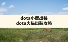 dota小鹿出装,dota火猫出装攻略