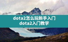 dota2怎么玩新手入门,dota2入门教学