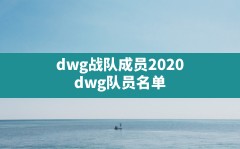 dwg战队成员2020(dwg队员名单)