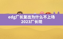 edg厂长复出为什么不上场(2023厂长现在在edg做什么)