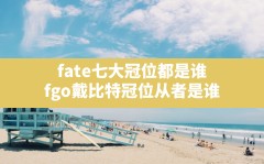 fate七大冠位都是谁(fgo戴比特冠位从者是谁)