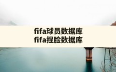 fifa球员数据库(fifa捏脸数据库)