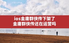 ios金庸群侠传下架了,金庸群侠传还在运营吗