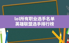 lol所有职业选手名单(英雄联盟选手排行榜)