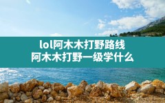 lol阿木木打野路线(阿木木打野一级学什么)