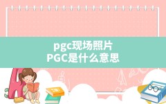 pgc现场照片,PGC是什么意思