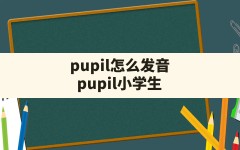 pupil怎么发音,pupil小学生