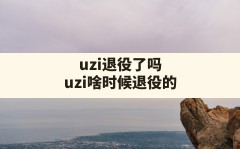 uzi退役了吗(uzi啥时候退役的)