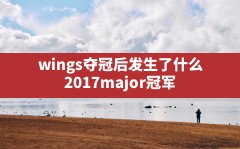 wings夺冠后发生了什么,2017major冠军