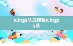 wings队员现状,wings y队